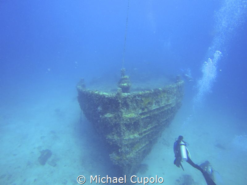 Great day for diving by Michael Cupolo 
