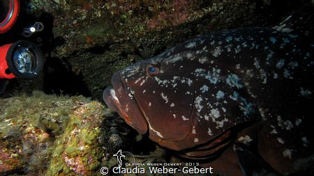 just come closer.............!!!
El Hierro - Canary Islands by Claudia Weber-Gebert 