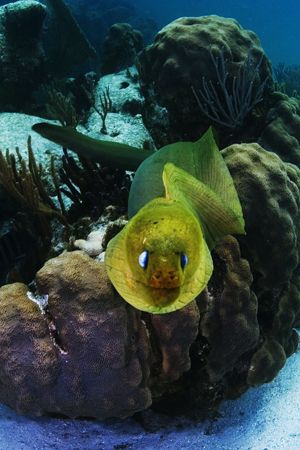 Taken at Grand Cayman in my last vacation. by Fabio Amorim 