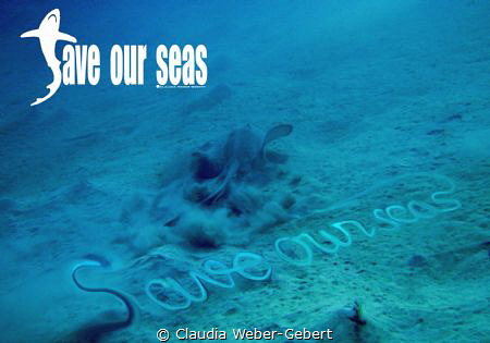 S
o
S by Claudia Weber-Gebert 