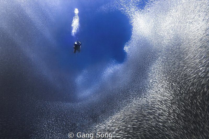 Diving in a tunnel by Gang Song 
