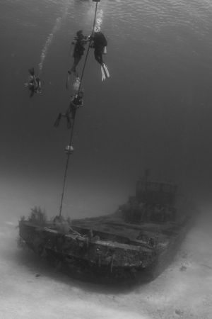 Divers doing the safety stop at 3m. EOS20D housed by Aqua... by Fabio Amorim 