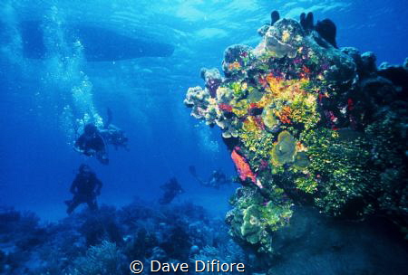 Waiting for the rest of the divers to submerge by Dave Difiore 