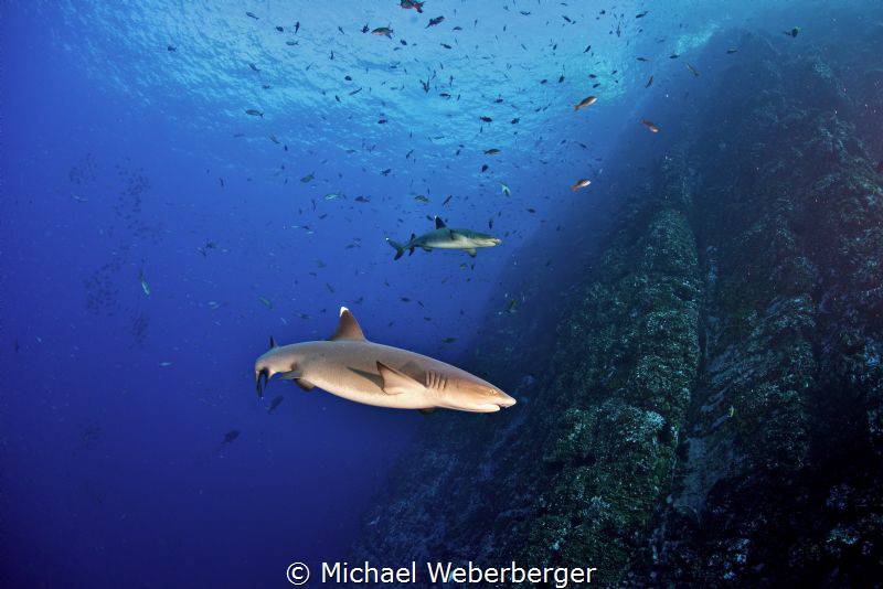 the rock by Michael Weberberger 