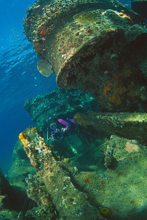 Caribean site, using a Subal CE 5 with Canon EOS 5 inside... by Francisco Nakahara 