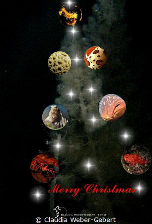 Merry christmas to all of you <3 by Claudia Weber-Gebert 