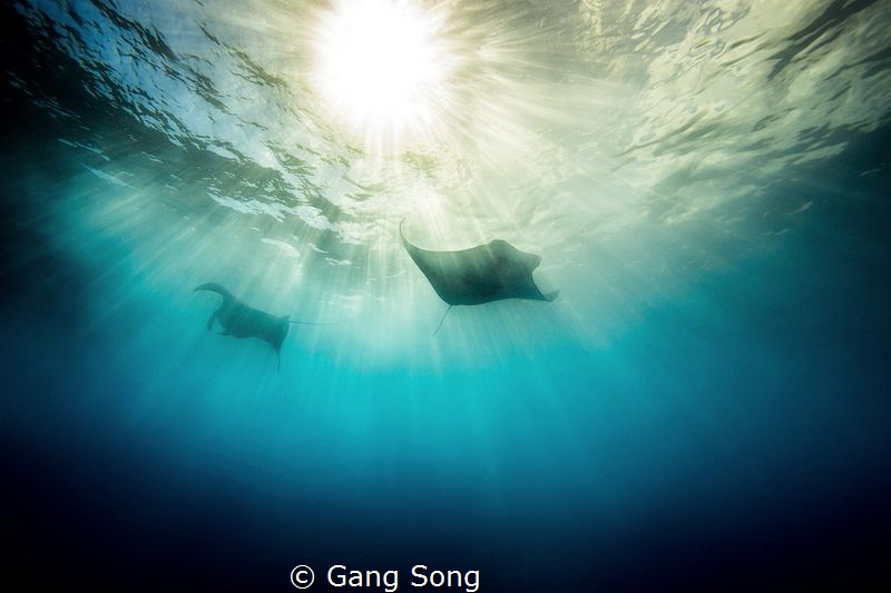Two shadows by Gang Song 