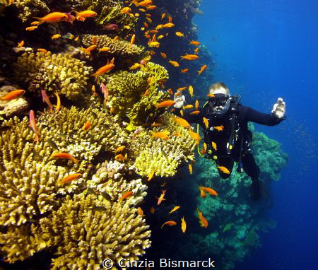 "CLOSE TO THE REEF" by Cinzia Bismarck 