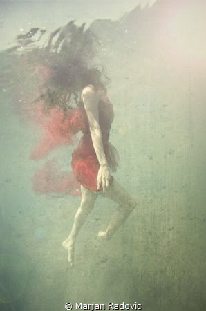 "Miss" by Marjan Radovic 