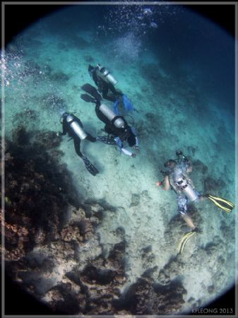 Underwater traffic by Kf Leong 
