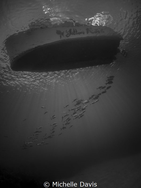 Jacks caught in the sunburst under the boat by Michelle Davis 