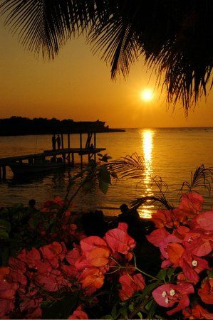 Roatan, Honduras. by Shawn Jackson 