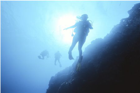 Pinnacle diving the wonderful Kona side of the Big Island... by Robert Fleckenstein 