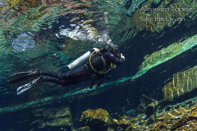Diver in the suface, Las Estacas Mexico by Alejandro Topete 