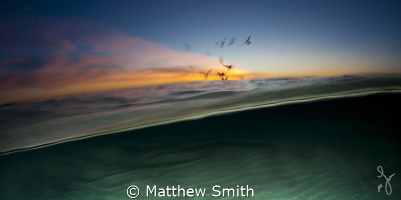 Peeling back the liquid layers... I wish I had gills by Matthew Smith 