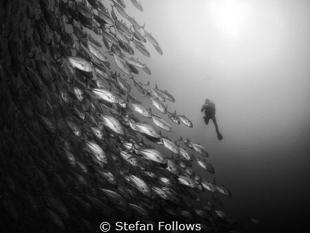 We Are All Made of Stars. Sail Rock, Thailand. EM5-NAEM5-... by Stefan Follows 