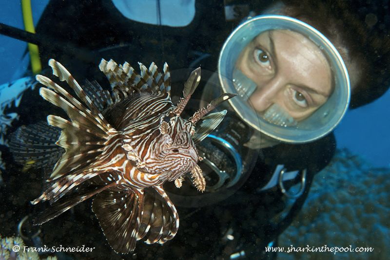 Model and lionfish; Model: Leda; Nikon D3, Zoom f2.8/14-2... by Frank Schneider 