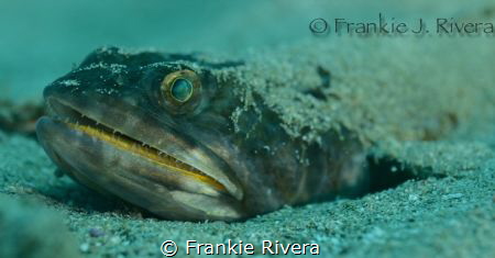 San Diver @ Crash Boar Pier.  Nikon D7000, Nikon 60mm, 2 ... by Frankie Rivera 
