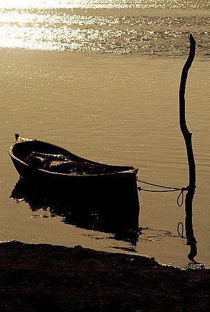 Roatan, Honduras. by Shawn Jackson 
