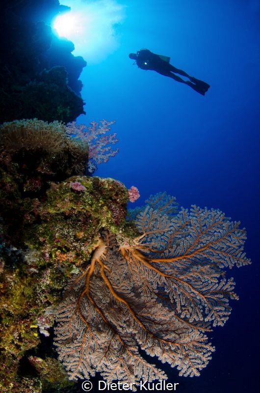 A Wall Dive by Dieter Kudler 