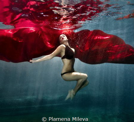 Red butterfly by Plamena Mileva 
