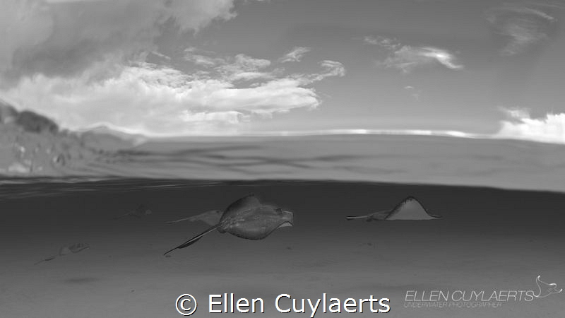 In between
In between night & day, clouds & sun, air & w... by Ellen Cuylaerts 