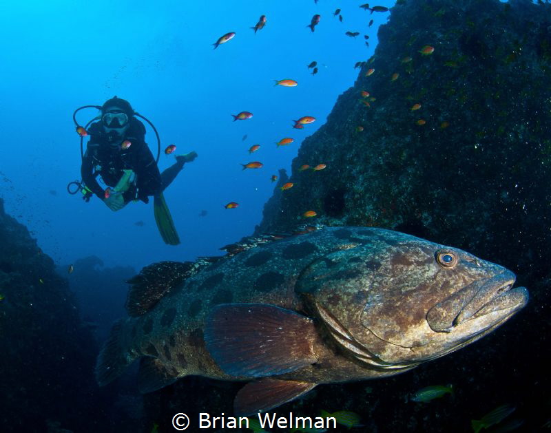 Big Daddy by Brian Welman 