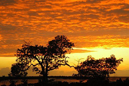 Roatan,Honduras. by Shawn Jackson 