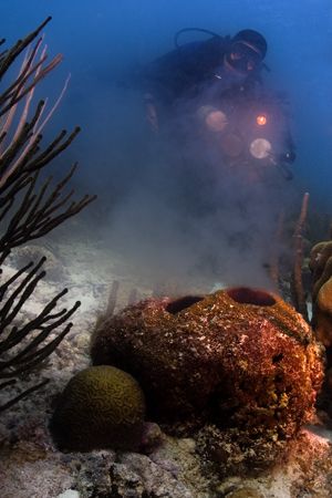 Spawning Barrel Sponge in Bonaire by Karl Dietz 