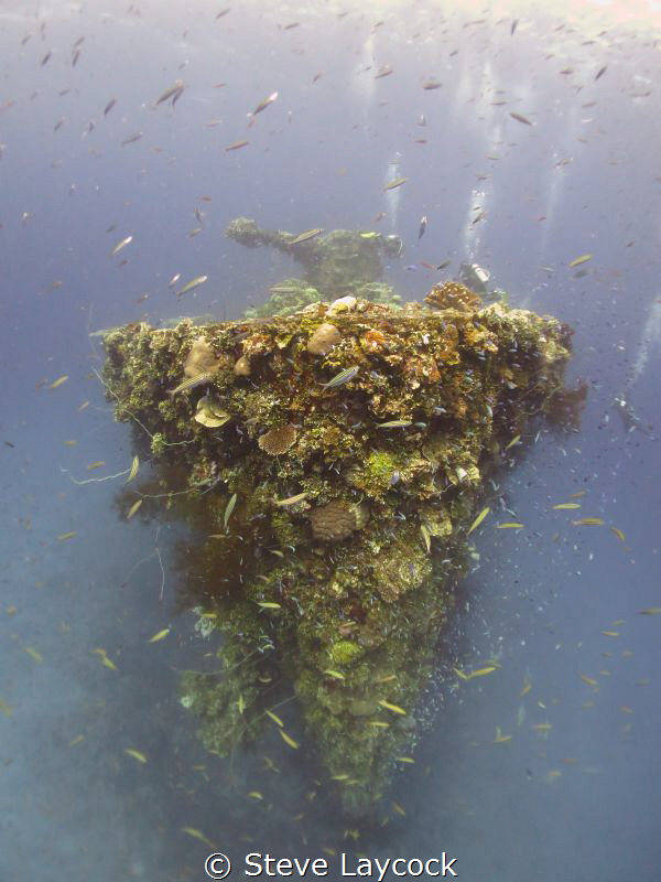 Fujikawa Maru by Steve Laycock 