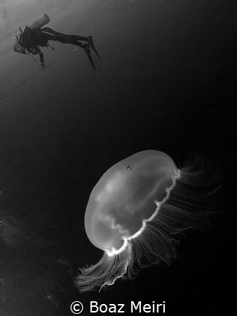 The Vandenberg, Key West, FL. by Boaz Meiri 