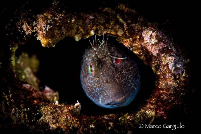 In the tube by Marco Gargiulo 