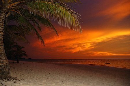 Roatan, Honduras. by Shawn Jackson 
