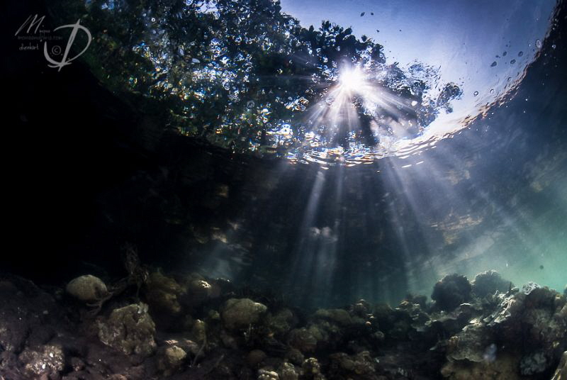 MANGROVE BEAMS
early morning in Eastern Halmahera by Mona Dienhart 