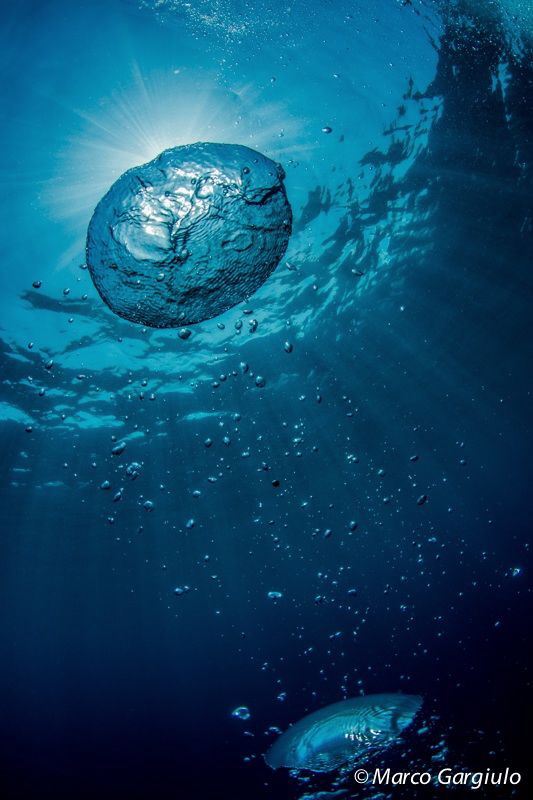 Bubbles by Marco Gargiulo 
