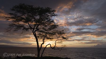 Wailea Sunset by Patrick Reardon 
