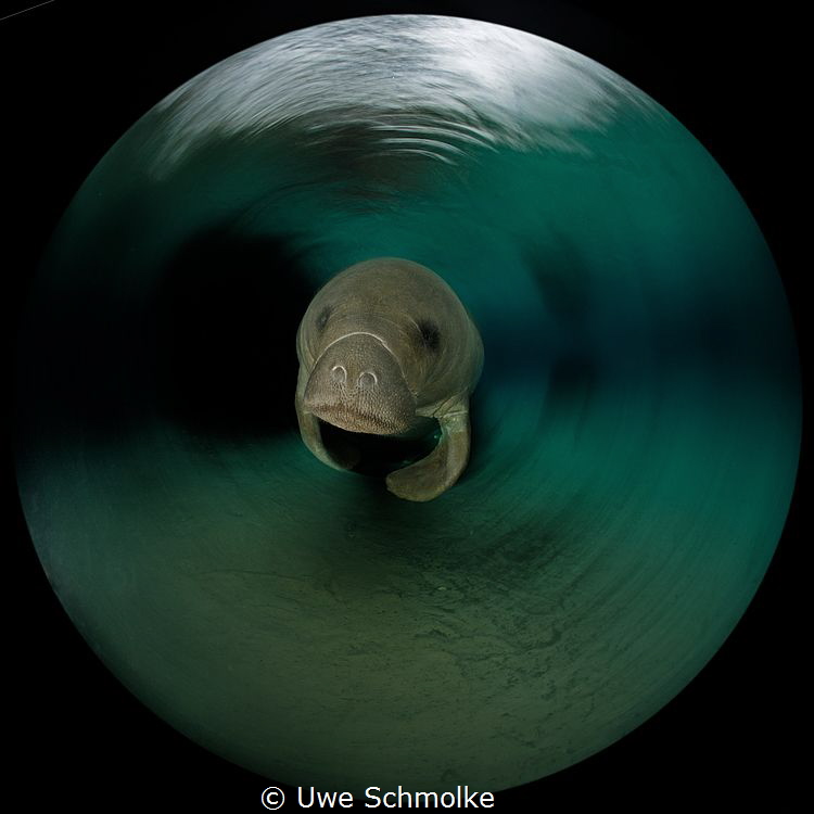 Twist and shout by Uwe Schmolke 