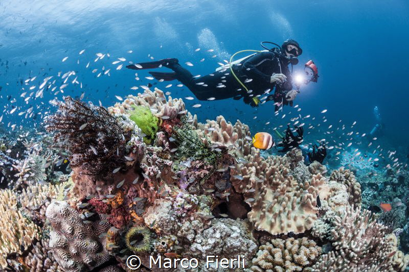 Photographer entranced by Marco Fierli 