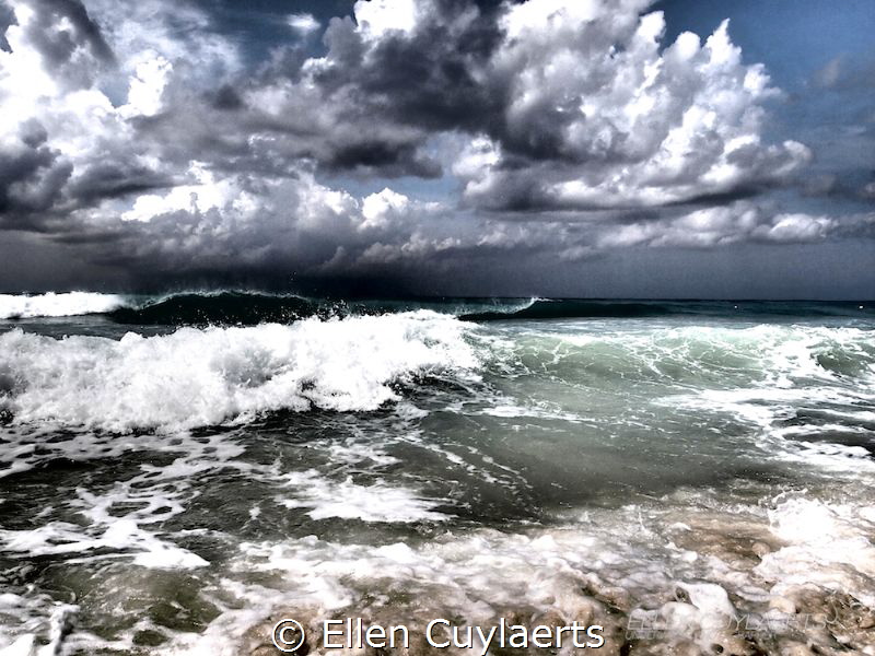 After the storm 

(EPL-2) by Ellen Cuylaerts 