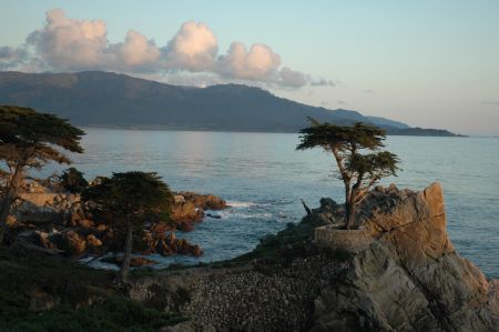 Cypress Point California on the way to LAX to go diving i... by Tom Blackburn 
