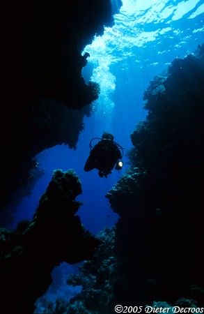 Image taken during a trip at St-Johns reef in Egypt durin... by Dieter Decroos 