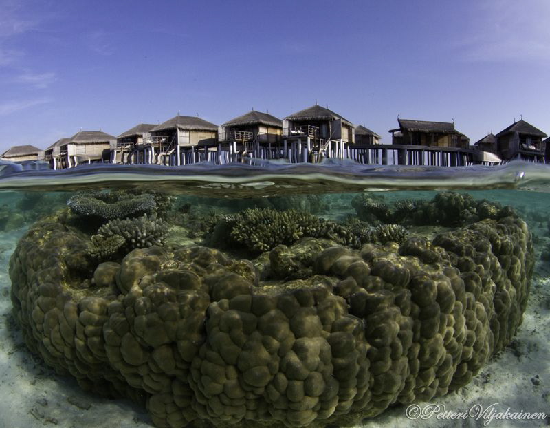 House reef split by Petteri Viljakainen 
