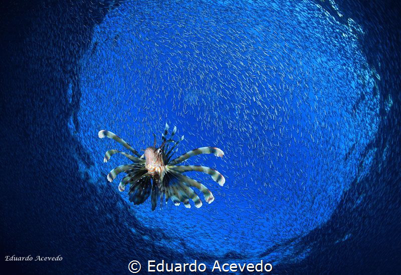Eilat during the month of November. by Eduardo Acevedo 