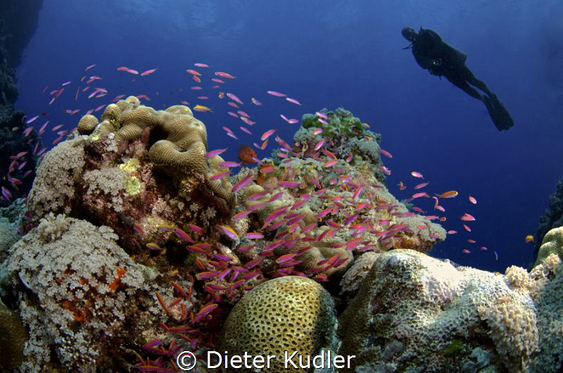 Mike posing for the camera by Dieter Kudler 
