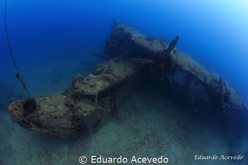 Plane War World II by Eduardo Acevedo 