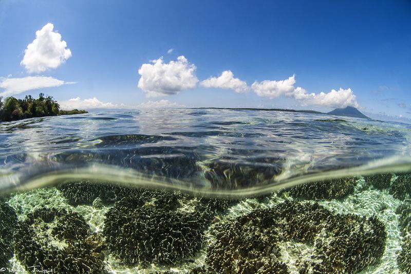 Bunaken from Siladen by Mathieu Foulquié 