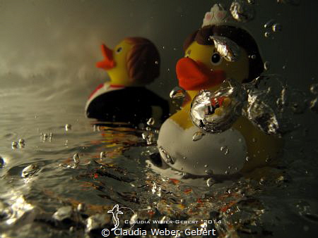 rubber duck wedding fashion by Claudia Weber-Gebert 