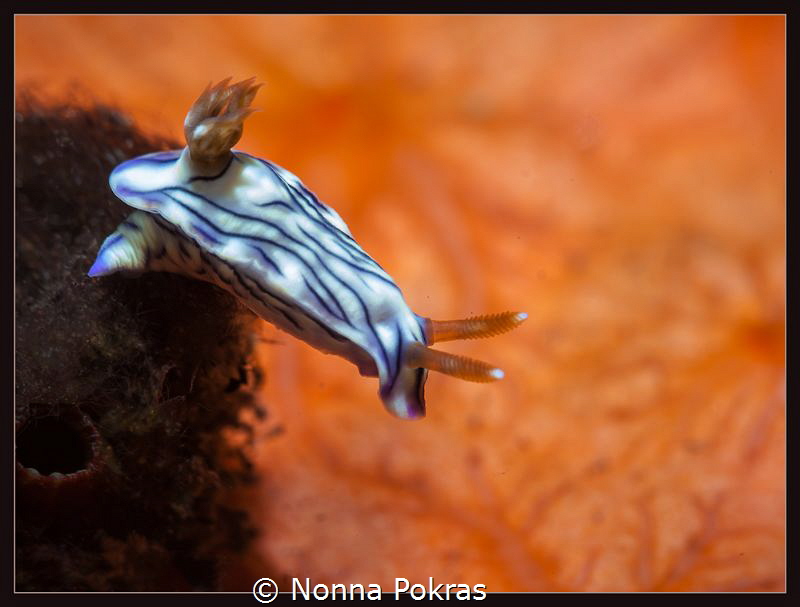 At the edge by Nonna Pokras 