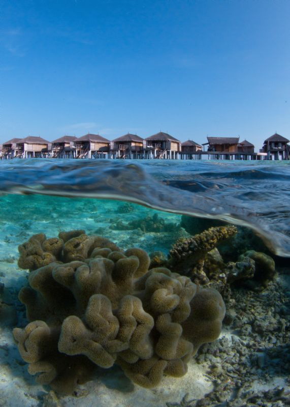 Vertical house reef split by Petteri Viljakainen 