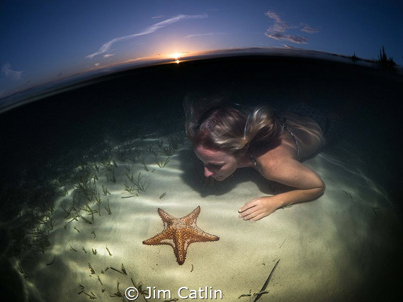 Sarah and the Starfish by Jim Catlin 